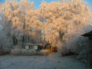 Winter in Emmen